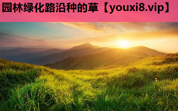 园林绿化路沿种的草