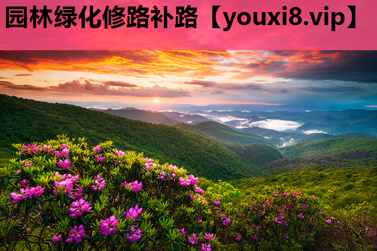 园林绿化修路补路