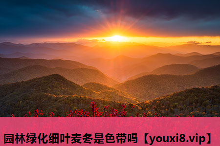 园林绿化细叶麦冬是色带吗