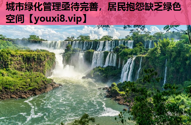 城市绿化管理亟待完善，居民抱怨缺乏绿色空间