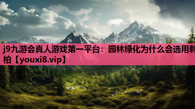 j9九游会真人游戏第一平台：园林绿化为什么会选用刺柏