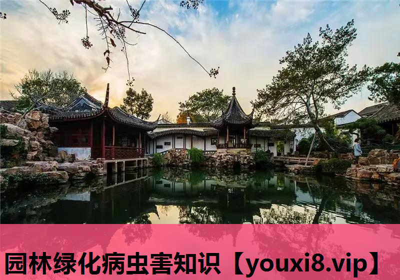 园林绿化病虫害知识