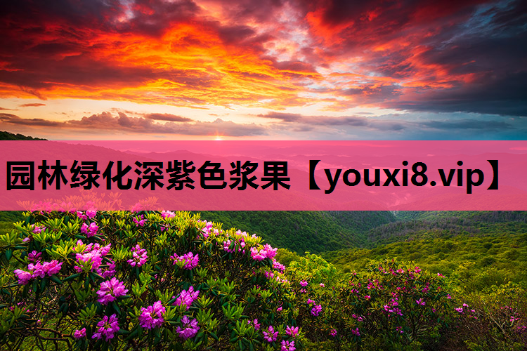 园林绿化深紫色浆果