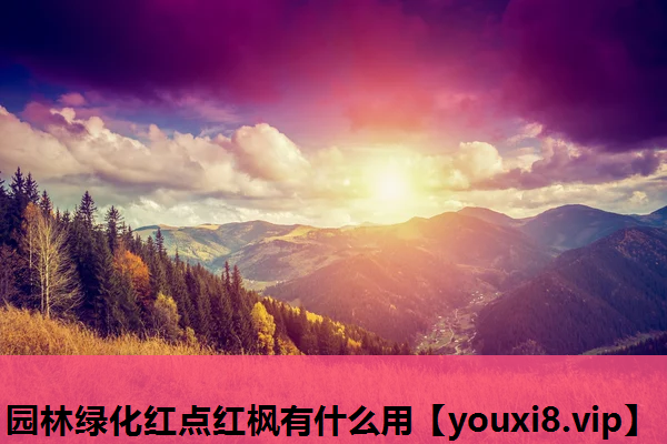 园林绿化红点红枫有什么用
