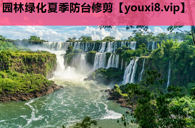 园林绿化夏季防台修剪