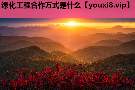 绿化工程合作方式是什么