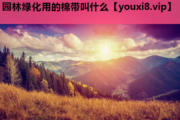 园林绿化用的棉带叫什么