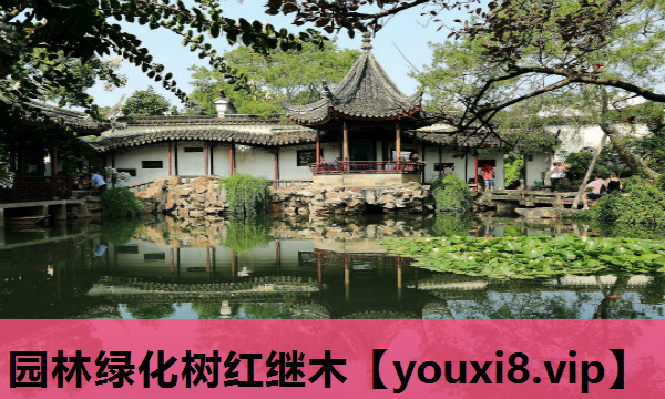 园林绿化树红继木