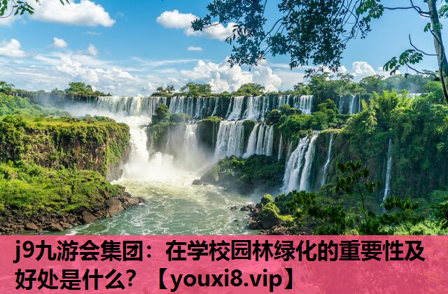 j9九游会集团：在学校园林绿化的重要性及好处是什么？