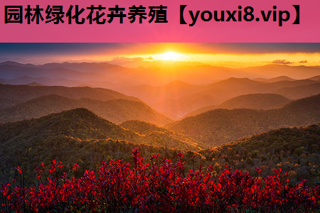 园林绿化花卉养殖