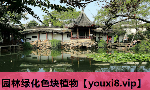 园林绿化色块植物