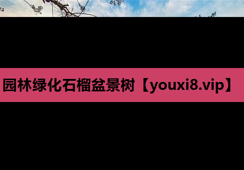 园林绿化石榴盆景树